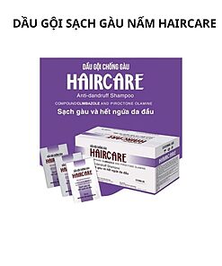 Trang chủ 20