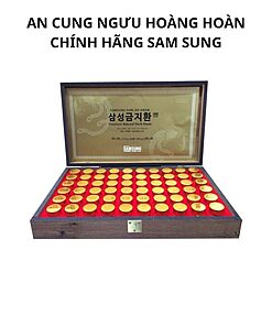 Trang chủ 31