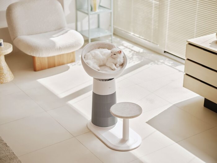 Khi doanh số bị Trung Quốc cạnh tranh dữ dội, đây là động thái sinh tồn của LG để sống sót khi doanh so bi trung quoc canh tranh du doi day la dong thai sinh ton cua lg de song sot