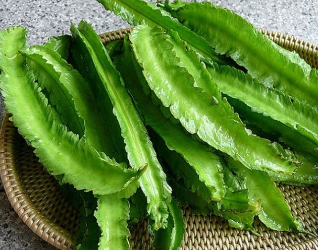 Thứ từng là thức ăn cho lợn bỗng hóa "vàng xanh", giá 1 triệu/kg vẫn "cháy hàng" thu tung la thuc an cho lon bong hoa vang xanh gia 1 trieu kg van chay hang