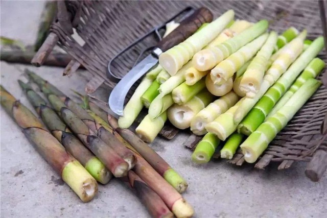“Vạch mặt” 8 thực phẩm giấu toàn chất CỰC ĐỘC nhưng lại cực quen trong bếp vach mat 8 thuc pham giau toan chat cuc doc nhung lai cuc quen trong bep